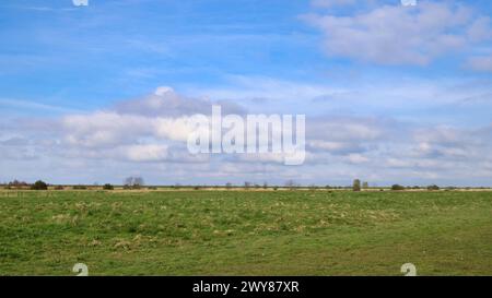 Weiße Wolken schweben am blauen Himmel über einem grasbewachsenen Feld in Ostfriesland Stockfoto