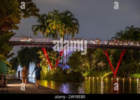 Spaziergang am Dragonfly Lake Singapore Stockfoto