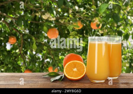 Frischer Orangensaft auf Holztisch im Obstgarten. Leerzeichen für Text Stockfoto