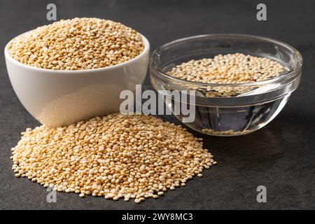 Chenopodium quinoa – in Wasser getränktes Quinoa-Getreide Stockfoto