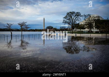 Das Washington Monument und das Jefferson Memorial sind an überfluteten Wegen zu sehen, nachdem das Wasser aus dem Tidal Basin während der Flut am 4. April 2024 in Washington, D.C. über die schützenden Meeresmauern stieg. Der National Park Service wird etwa 300 Bäume Fällen, davon 140 die berühmten Kirschbäume, damit sie die zerstörten Meeresmauern rund um das Tidal Basin reparieren und wieder aufbauen können. Die Meeresmauern wurden in den späten 1800er Jahren errichtet und einige Abschnitte sind wegen schlechter Entwässerung, Erosion und steigendem Wasserspiegel bis zu 5 Fuß gesunken. (Foto: Samuel Corum/SIPA USA) Stockfoto