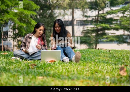 Zwei junge asiatische Studentinnen sitzen auf dem Gras im Park, benutzen gemeinsam einen Laptop und diskutieren während sie studieren oder arbeiten Stockfoto