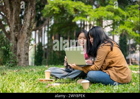 Zwei junge asiatische Studentinnen sitzen auf dem Gras in einem Park, lernen zusammen mit einem Laptop, Büchern und Kaffeetassen und genießen die Outdoor-Lear Stockfoto