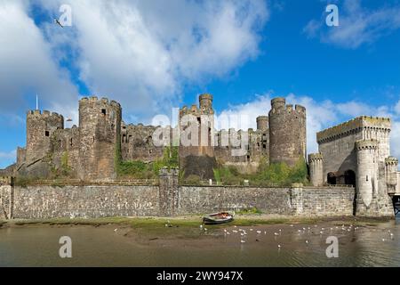 Schloss, Fischerboot, Conwy, Wales, Großbritannien Stockfoto