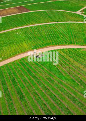 Aus der Vogelperspektive auf eine gewundene Landstraße, die sich durch grüne Felder schlängelt, Jesus Grace Chruch, Weitblickweg, Osterwanderung, Hohenhaslach Stockfoto