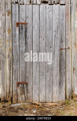 Alte Holzdielen bilden eine Scheunentür mit rostigen Metallscharnieren und Riegel, die ein Gefühl des ländlichen Verfalls vermitteln. Stockfoto