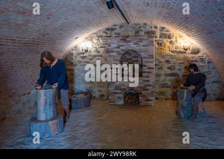 Suceava, Rumänien, 17. August 2023: Innere der königlichen Zitadelle in Suceava, Rumänien Stockfoto