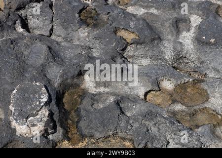 Robuste Oberflächenstruktur Aus Kalkstein Stockfoto