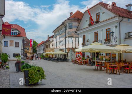 Radovljica, Slowenien, 19. Juni 2023: Menschen schlendern auf dem Linhartov trg Platz in Radovljica, Slowenien Stockfoto