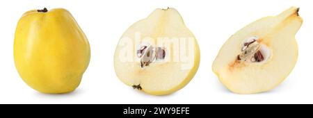 Frische reife Quittenfrüchte isoliert auf weiß, Set Stockfoto