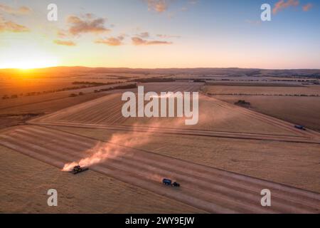 Aus der Vogelperspektive zweier Mähdrescher in einem Weizenfeld bei Sonnenuntergang mit Staub, der hinter ihnen in einer ländlichen Landschaft liegt Stockfoto