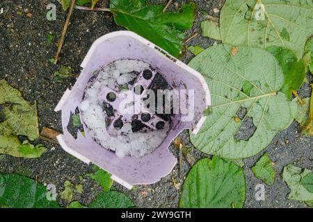 Plastikblumentopf und Blätter, die nach einem Hagelsturm zu Boden gefallen sind Stockfoto