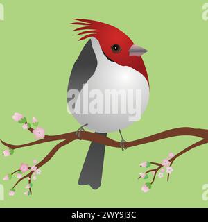 Ein sehr süßer Kardinalvogel mit roten Hauben in Form eines Eies. Der Vogel sitzt auf einem Zweig mit rosa Blüten. Stock Vektor