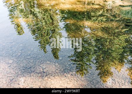 Waldbäume spiegeln sich auf der Wasseroberfläche des Flusses Stockfoto