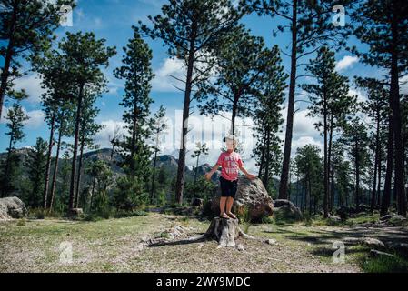 Junge, der im Sommer auf Baumstümpfen im Wald mit Bergen steht Stockfoto