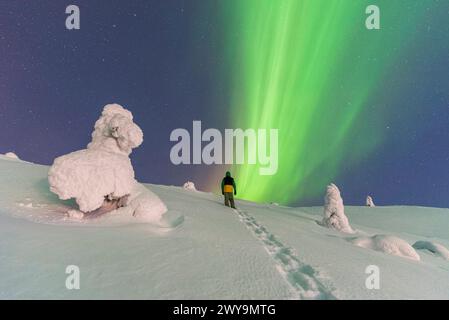 Nächtlicher Blick auf einen Mann, der auf einen Hügel mit Bäumen mit Schnee und Eis klettert und das Grün der Nordlichter Aurora Borealis, Tjautjas, Galliva bewundert Stockfoto