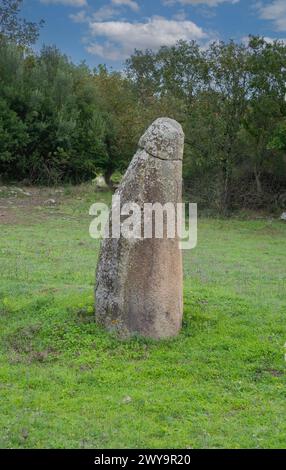 Menhir-Vertikalsteine aus der Bronzezeit und dem Nuragischen und pränuragischen Zeitalter Stockfoto