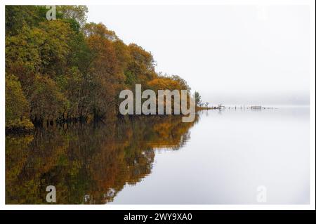 Inselbäume spiegeln sich in Loch Awe an einem nebeligen Herbstmorgen in Scottish Highlands Stockfoto