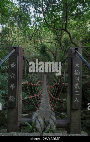 Eine alte, verwitterte Brücke erstreckt sich in einen üppig grünen Wald und vermittelt ein Gefühl von Abenteuer und Ruhe Stockfoto