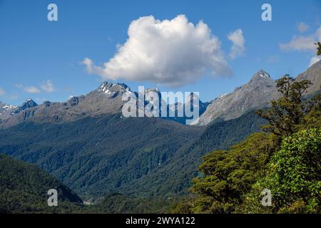Das Hollyford Valley und Blick auf den Ocean Peak und die Humboldt Mountains, den Fiordland National Park, Southland, South Island, Neuseeland Stockfoto