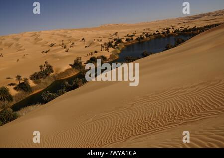 Malerische orange Dünen von Ubari, Sahara-Wüste, Libyen, Nordafrika, Afrika Copyright: MichaelxSzafarczyk 1235-2099 Stockfoto