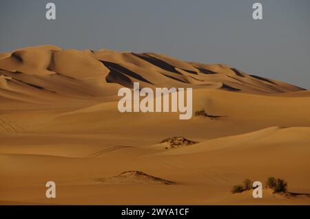 Malerische orange Dünen von Ubari, Sahara-Wüste, Libyen, Nordafrika, Afrika Copyright: MichaelxSzafarczyk 1235-2098 Stockfoto