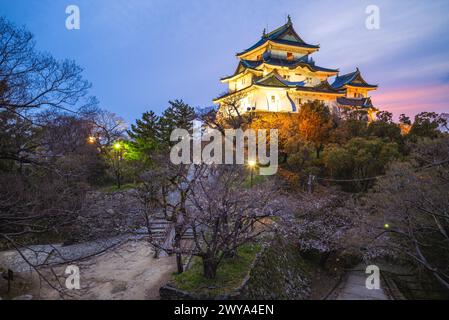 Wakayama Castle, eine japanische Burg in Wakayama, Präfektur Wakayama, Japan. Stockfoto