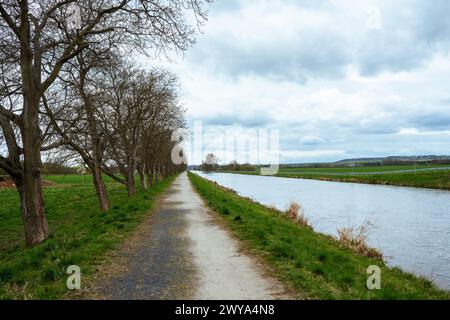 Straße mit Bäumen in der Nähe des Seitenkanals Vraňany-Hořín in Böhmen, einer Wasserstraße, die den Schiffsverkehr von der Elbe entlang der Moldau ermöglicht. Stockfoto