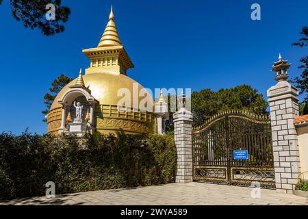 Der wahre Lam-Tempel von Dalat in Vietnam Stockfoto