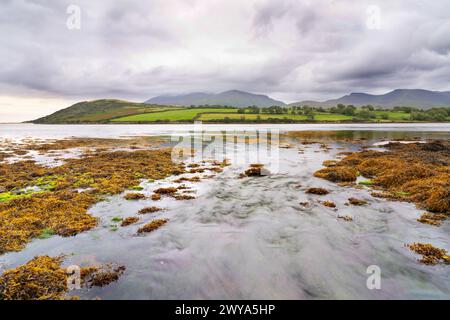 Felsiges Ufer der Owenmore-Mündung bei Cloghane, County Kerry, Irland Stockfoto