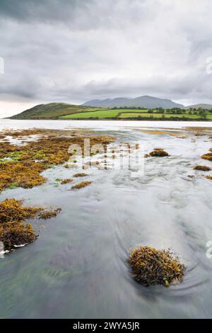 Felsiges Ufer der Owenmore-Mündung bei Cloghane, County Kerry, Irland Stockfoto