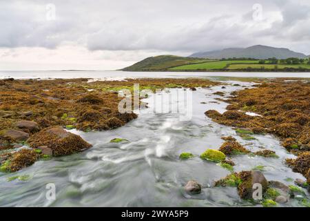 Felsiges Ufer der Owenmore-Mündung bei Cloghane, County Kerry, Irland Stockfoto