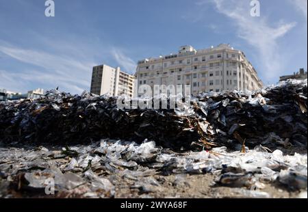 Marseille, Frankreich. April 2024. © PHOTOPQR/LA PROVENCE/Valerie Vrel ; Marseille ; 05/04/2024 ; des kolonies de vélelles, cousines des méduses, s'échouent sur des plages au Large de la Méditerranée. Am 21. märz 2024, de petits organismes bleus semblables à des méduses, s'échouent sur les plages de Marseille à la Côte d'Azur, il s'agit de 'vélelles'. ICI sur la plage des Catalans à Marseille. Marseille, Frankreich, 5. april 2024 Quallenkolonien (Velella velella), Wash up on Beaches off the Mediterranean Credit: MAXPPP/Alamy Live News Stockfoto