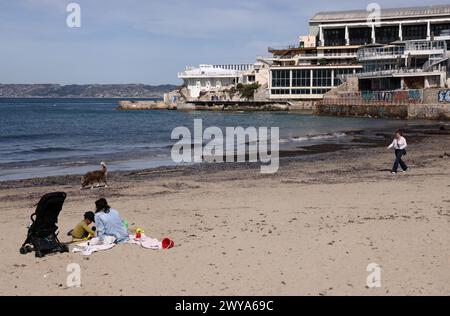 Marseille, Frankreich. April 2024. © PHOTOPQR/LA PROVENCE/Valerie Vrel ; Marseille ; 05/04/2024 ; des kolonies de vélelles, cousines des méduses, s'échouent sur des plages au Large de la Méditerranée. Am 21. märz 2024, de petits organismes bleus semblables à des méduses, s'échouent sur les plages de Marseille à la Côte d'Azur, il s'agit de 'vélelles'. ICI sur la plage des Catalans à Marseille. Marseille, Frankreich, 5. april 2024 Quallenkolonien (Velella velella), Wash up on Beaches off the Mediterranean Credit: MAXPPP/Alamy Live News Stockfoto