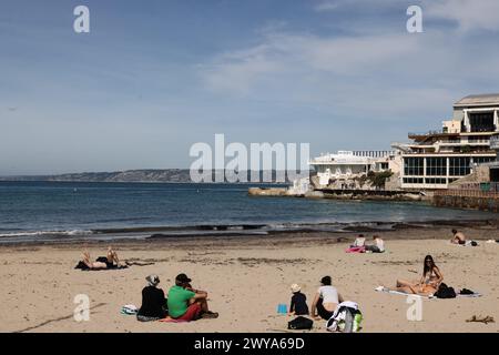 Marseille, Frankreich. April 2024. © PHOTOPQR/LA PROVENCE/Valerie Vrel ; Marseille ; 05/04/2024 ; des kolonies de vélelles, cousines des méduses, s'échouent sur des plages au Large de la Méditerranée. Am 21. märz 2024, de petits organismes bleus semblables à des méduses, s'échouent sur les plages de Marseille à la Côte d'Azur, il s'agit de 'vélelles'. ICI sur la plage des Catalans à Marseille. Marseille, Frankreich, 5. april 2024 Quallenkolonien (Velella velella), Wash up on Beaches off the Mediterranean Credit: MAXPPP/Alamy Live News Stockfoto