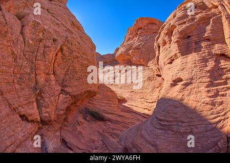 Ein schmaler Canyon, der auf eine Felseninsel bei Ferry Swale in der Glen Canyon Recreation Area in der Nähe von Page, Arizona, USA, North Ameri führt Stockfoto