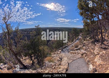 Der gepflasterte Felsenpfad entlang der Klippen des Grand Canyon South Rim zwischen dem Dorf und Trailview überblicken Vista, Grand Canyon, UNESCO-Weltkulturerbe S Stockfoto