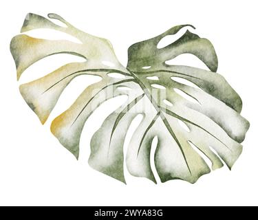 Tropisches Aquarellset. Monstera-Blätter und Dschungelpflanzen auf weißem Hintergrund. Grüne exotische Elemente frischer Naturdekorationen. Stockfoto