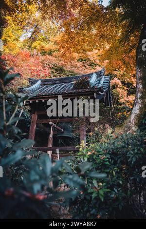 Seikan-JI Tempeltor mit Herbstfarben, Kyoto, Honshu, Japan, Asien Copyright: FrancescoxFanti 1336-1049 Stockfoto