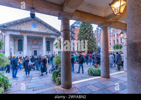 Blick auf St.. Paul s Church from the Apple Market at Christmas, Covent Garden, London, England, Vereinigtes Königreich, Europa Copyright: FrankxFell 844-32651 Stockfoto