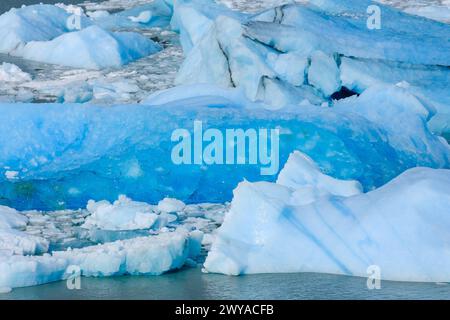 El Calafate, Patagonien, Argentinien - Perito Moreno Gletcher im Nationalpark Los Glaciares. Der Perito Moreno Gletscher gehoert zum patagonischen Eisfeld, dem Campo Hielo Sur, der drittgroessten Suesswasserreserve der Welt. Er liegt in der Provinz Santa Cruz am Lago Argentino, dem groessten See des Landes. Der Perito Moreno Gletscher ist bis zu 30 km lang und 5 km breit. Seine Abbruchkante ist an der hoechsten Stelle 70 m hoch. Vom Gletscher abgebrochene kleine Eisberge treiben im Lago Argentino. Der Gletscher gehoert zu den schoensten Sehenswuerdigkeiten Suedamerikas und gilt als eine der me Stockfoto