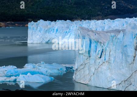 El Calafate, Patagonien, Argentinien - Perito Moreno Gletcher im Nationalpark Los Glaciares. Der Perito Moreno Gletscher gehoert zum patagonischen Eisfeld, dem Campo Hielo Sur, der drittgroessten Suesswasserreserve der Welt. Er liegt in der Provinz Santa Cruz am Lago Argentino, dem groessten See des Landes. Der Perito Moreno Gletscher ist bis zu 30 km lang und 5 km breit. Seine Abbruchkante ist an der hoechsten Stelle 70 m hoch. Vom Gletscher abgebrochene kleine Eisberge treiben im Lago Argentino. Der Gletscher gehoert zu den schoensten Sehenswuerdigkeiten Suedamerikas und gilt als eine der me Stockfoto