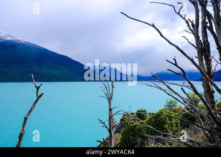 El Calafate, Patagonien, Argentinien - Lago Argentino am Perito Moreno Gletcher im Nationalpark Los Glaciares. El Calafate Patagonien Argentinien *** El Calafate, Patagonien, Argentinien Lago Argentino am Perito Moreno Gletcher im Los Glaciares Nationalpark El Calafate Patagonien Argentinien Stockfoto