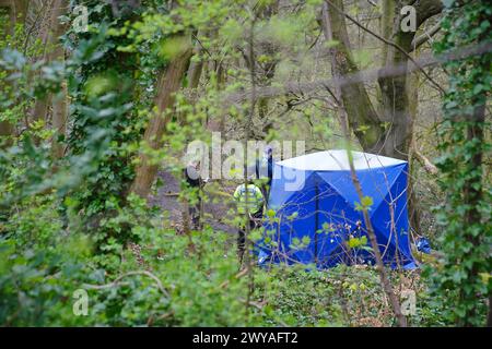 Polizeibeamte in einem forensischen Zelt in Kersal Dale, in der Nähe von Salford, Greater Manchester, wo eine große Untersuchung eingeleitet wurde, nachdem am Donnerstagabend menschliche Überreste gefunden wurden. Die Polizei von Greater Manchester (GMP) sagte, dass Beamte von einem Mitglied der Öffentlichkeit gerufen wurden, der einen „unbekannten Gegenstand in Plastik gewickelt“ fand. Bilddatum: Freitag, 5. April 2024. Stockfoto