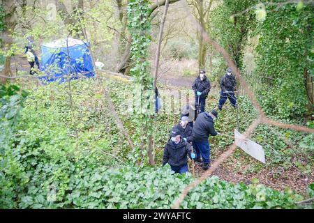 Polizeibeamte führen Durchsuchungen neben einem forensischen Zelt in Kersal Dale in der Nähe von Salford, Greater Manchester durch, wo eine große Untersuchung eingeleitet wurde, nachdem am Donnerstagabend menschliche Überreste gefunden wurden. Die Polizei von Greater Manchester (GMP) sagte, dass Beamte von einem Mitglied der Öffentlichkeit gerufen wurden, der einen „unbekannten Gegenstand in Plastik gewickelt“ fand. Bilddatum: Freitag, 5. April 2024. Stockfoto