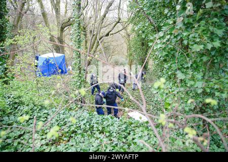 Polizeibeamte durchsuchen ein forensisches Zelt in Kersal Dale in der Nähe von Salford, Greater Manchester, wo eine große Untersuchung eingeleitet wurde, nachdem am Donnerstagabend menschliche Überreste gefunden wurden. Die Polizei von Greater Manchester (GMP) sagte, dass Beamte von einem Mitglied der Öffentlichkeit gerufen wurden, der einen „unbekannten Gegenstand in Plastik gewickelt“ fand. Bilddatum: Freitag, 5. April 2024. Stockfoto