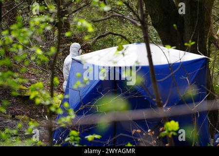 Polizeibeamte in einem forensischen Zelt in Kersal Dale, in der Nähe von Salford, Greater Manchester, wo eine große Untersuchung eingeleitet wurde, nachdem am Donnerstagabend menschliche Überreste gefunden wurden. Die Polizei von Greater Manchester (GMP) sagte, dass Beamte von einem Mitglied der Öffentlichkeit gerufen wurden, der einen „unbekannten Gegenstand in Plastik gewickelt“ fand. Bilddatum: Freitag, 5. April 2024. Stockfoto