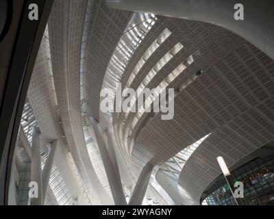 China, Hongkong, West Kowloon Bahnhof Stockfoto