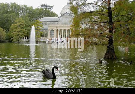 Crystal Palace (1886-87), Parque del Buen Retiro. Madrid. Spanien. Stockfoto