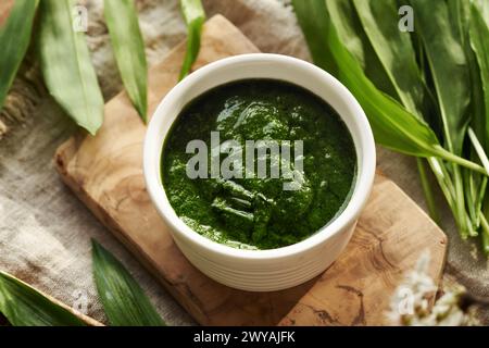 Hausgemachte grüne Pesto-Soße aus frischen Bärlauch-Blättern - eine wilde essbare Pflanze, die im Frühjahr geerntet wird Stockfoto